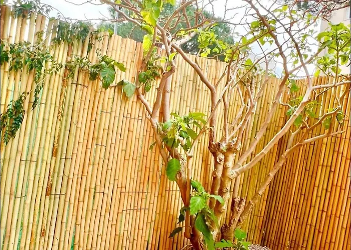 Cosy Lavandou * Le Lavandou