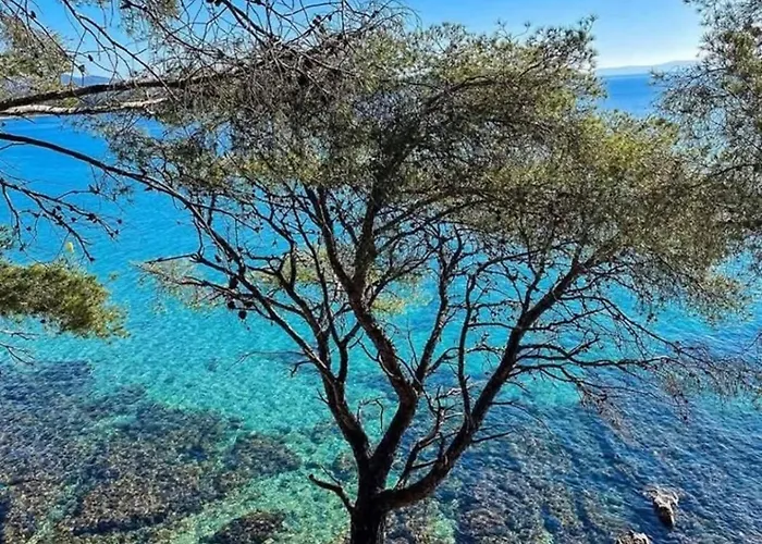 Apartman Cosy Lavandou Le Lavandou