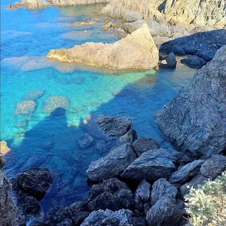 Apartment Cosy Lavandou Le Lavandou