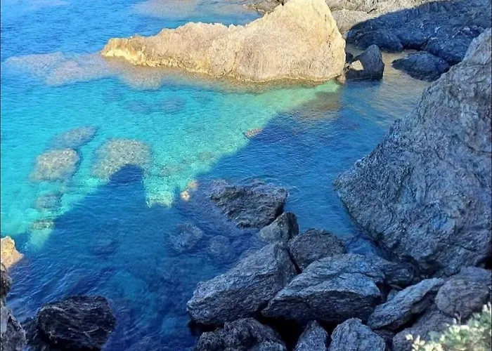 Lägenhet Cosy Lavandou Le Lavandou